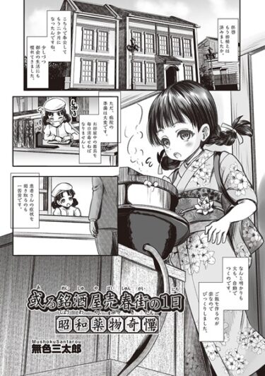 【無料立ち読み】或る銘酒屋売春街の1日 昭和●物奇憚 b120ahit01769