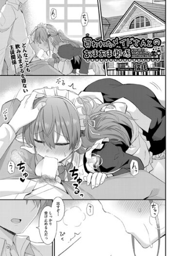 【無料立ち読み】買われたメイドさんとのあまあま関係 b120ahit01801