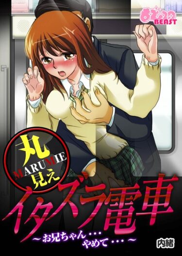【無料立ち読み】丸見えイタズラ電車 b289amris00016
