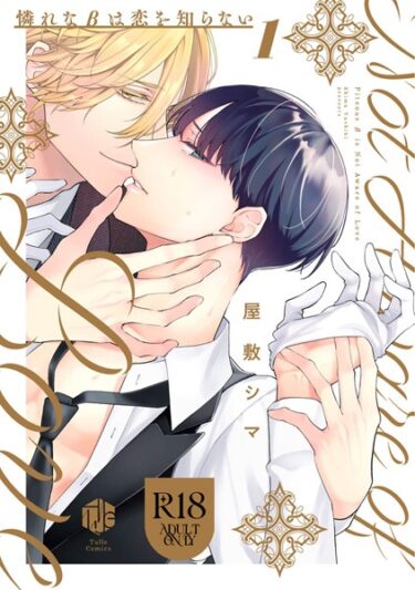 【無料立ち読み】【18禁版】憐れなβは恋を知らない【コミックス版】【期間限定 試し読み増量版 閲覧期限2025年6月4日】 b294abrit03121