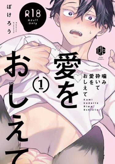 【無料立ち読み】【18禁版】噛み砕いて愛をおしえて【コミックス版】【期間限定 試し読み増量版 閲覧期限2025年6月4日】 b294abrit03122