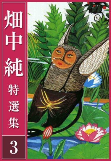 【無料立ち読み】畑中 純 特選集 b485argl01580