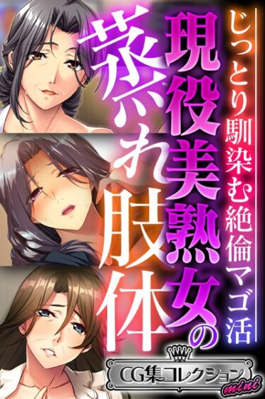 【無料立ち読み】現役美熟女の蒸れ肢体 〜じっとり馴染む絶倫マゴ活〜【CG集コレクション ミニ】 k187afrnt02404