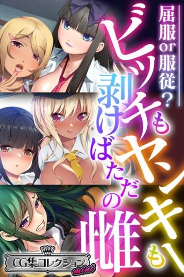【無料立ち読み】ビッチもヤンキーも剥けばただの雌 〜屈服or服従？〜【CG集コレクション ミニ】 k187afrnt02598