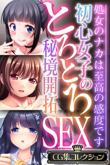 【無料立ち読み】初心女子のとろとろ秘境開拓SEX 〜処女のナカは至高の感度です〜【CG集コレクション】 k187afrnt02916