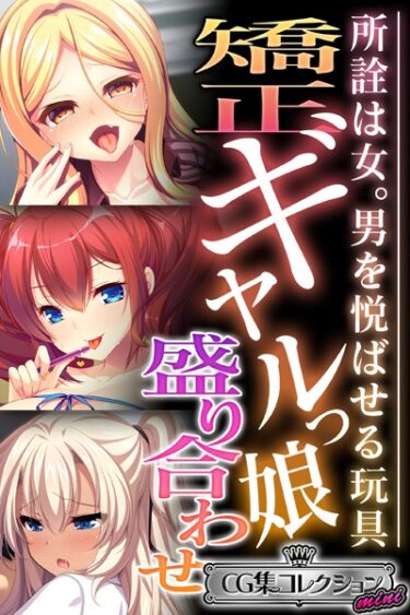 【無料立ち読み】矯正ギャルっ娘盛り合わせ 〜所詮は女。男を悦ばせる玩具〜【CG集コレクション ミニ】 k187afrnt03656