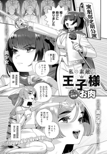 【無料立ち読み】私の素敵な王子様 k568agotp04566
