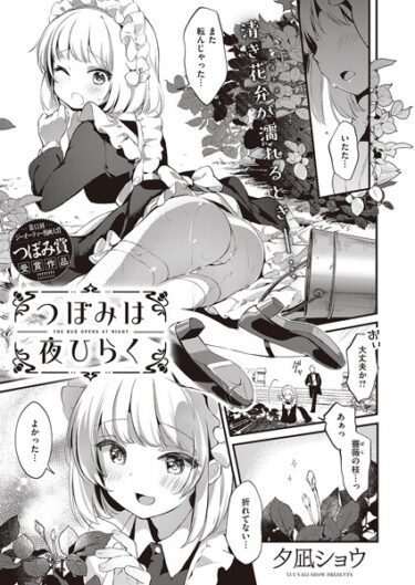 【無料立ち読み】つぼみは夜ひらく k568agotp04766