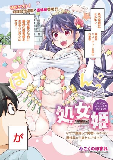 【無料立ち読み】処女姫〜なぜか童貞しか勇者になれない異世界から来たんですけど〜（番外編） s011akamj01655